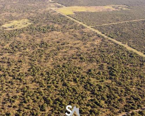 Vende: Espectacular Coto de Caza en la Pampa