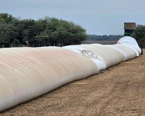 Estancia Don Nicolás Mixto