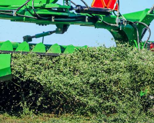 Segadora Montecor SE938 Nueva