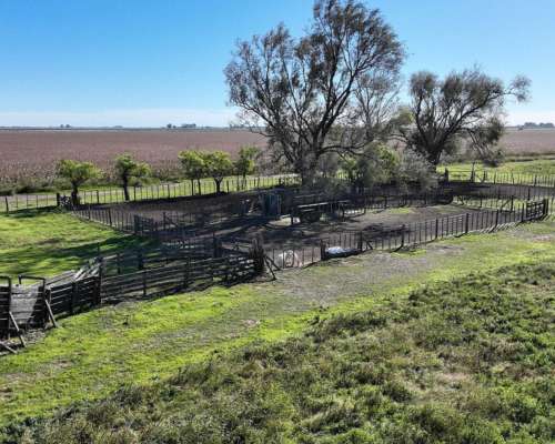 Pehuajó, Buenos Aires - 2.422 Ha