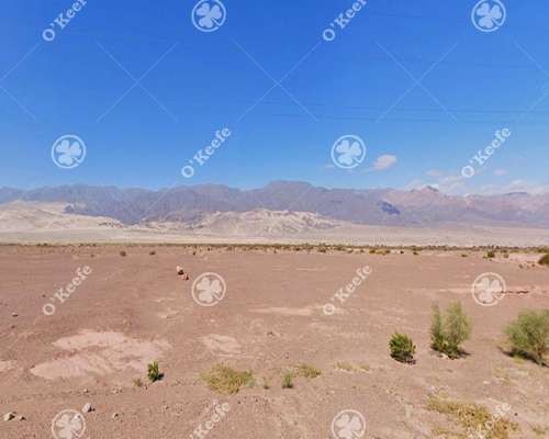 Campo en Venta 101 Has Fiambala, Catamarca