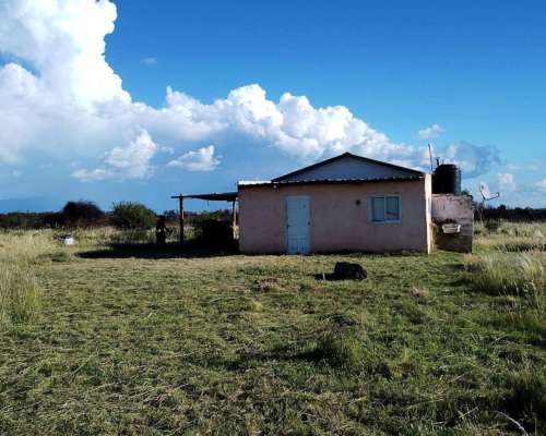 Campo Tipo Granja para Emprender