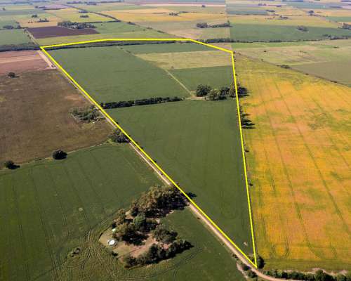 Campo en Venta Arrecifes 93ha