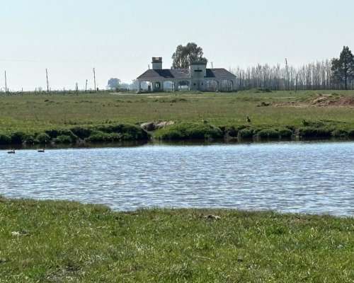 Importante Campo en Venta San Vicente