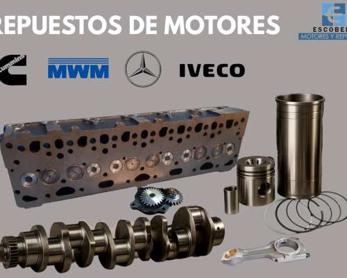 Repuestos de Motor Cummins, Mwm, Pauny, Zanello