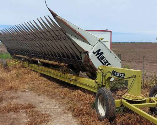 Girasolero Maizco Mxiii 16 a 70 cm – Buen Estado General