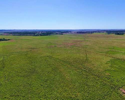 Santo Tomé - 2365 Ha - Corrientes