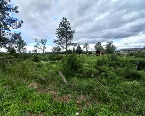 10 Hectareas de Chacra