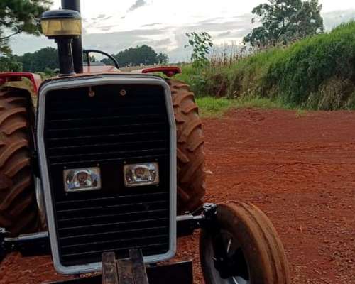 Agricola Massey Ferguson 1615-s