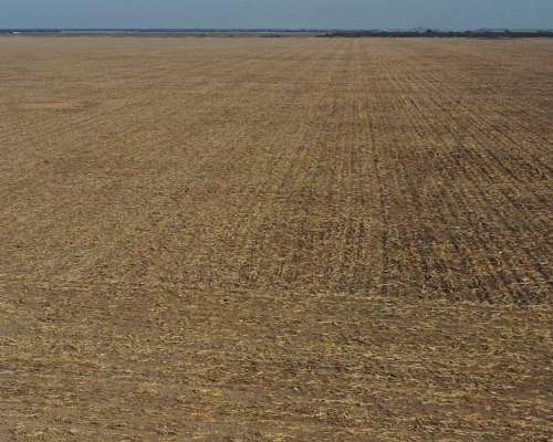 Santiago del Estero Bandera Fortin Inca 1.000 Has Agricolas