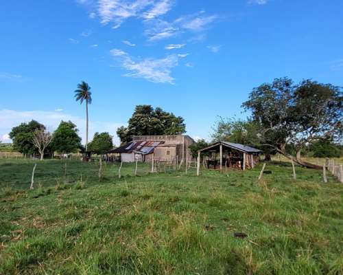 Venta de 25 Has en Mercedes (corrientes) en Zona Urbana