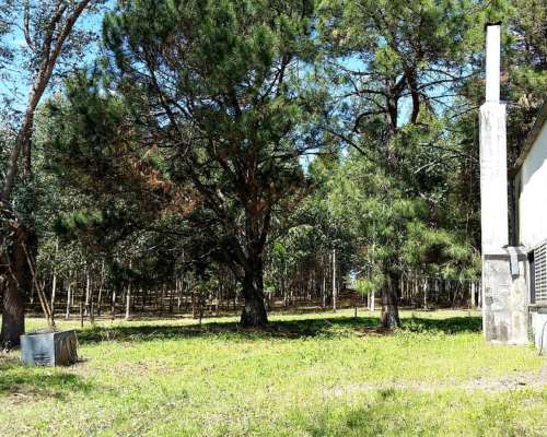 Campo Mixto en Concordia