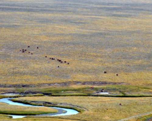 Estancia 10.000 Ha - Tierra del Fuego