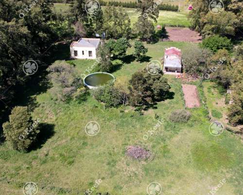 Chacra en Venta de 10 Has en Bragado con Mejoras