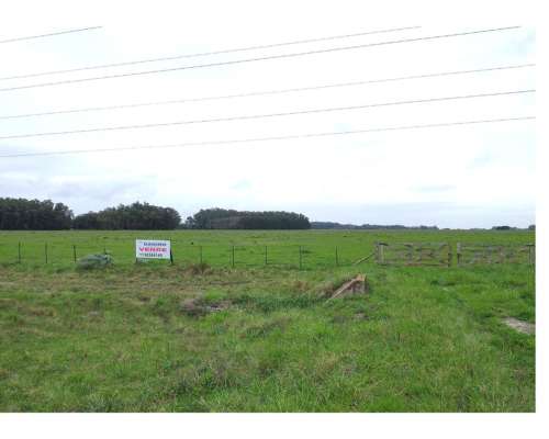 Campo en Venta en Punta Indio - 93 Hectáreas Sobre Ruta