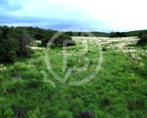 Venta Campo 12 HA, Falda del Carmen