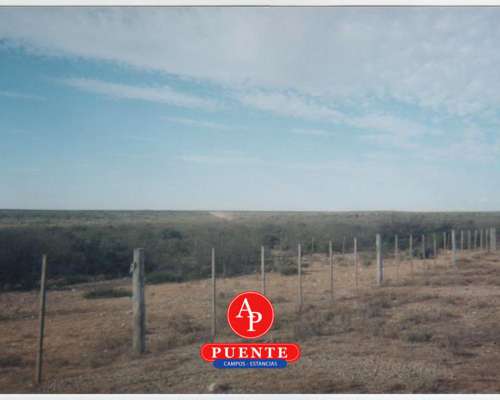 En Venta 10.000 Has Lihuel Calel la Pampa.-