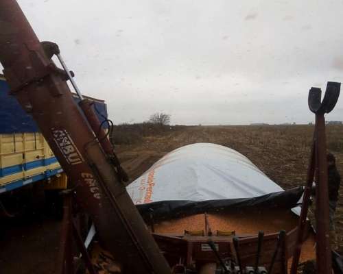 Extractora de Granos Ombu Emco 2002