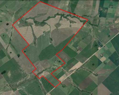 Victoria, ER, 575 Agricola