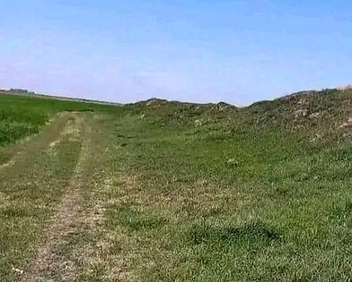 208 Hectáreas Mixtas, Viamonte - CBA