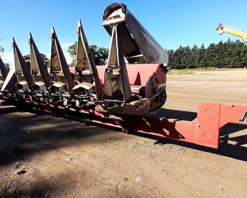 Maicero Maizco Premium de 12 a 70 cm