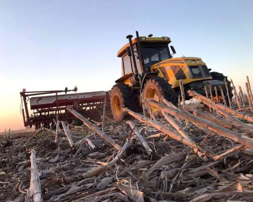 Crucianelli Gringa V, de 20 a 42 o 16 a 52