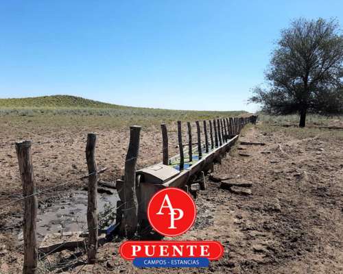 En Venta 5.000 Has Jaguel del Monte, la Pampa