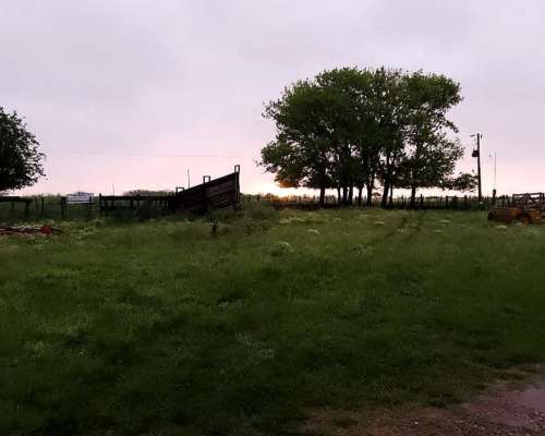 Granja Avicola Capacidad 30 Mil Pollos.