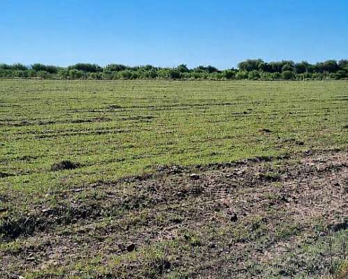 Campo en San Luis 27 Hectáreas - Concarán
