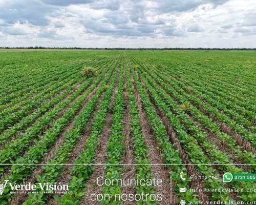 602 Has en Venta - Pcia del Chaco, las Breñas