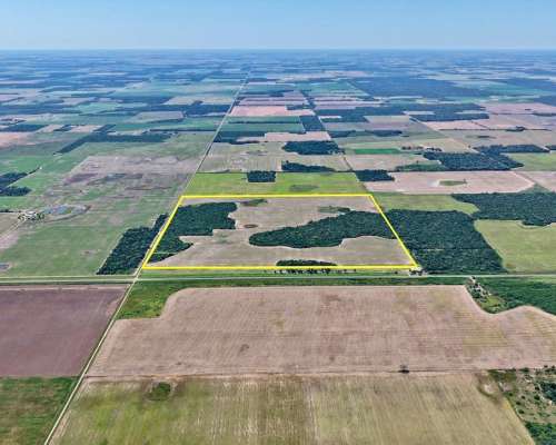 89 Has en Venta - Pcia del Chaco, las Breñas