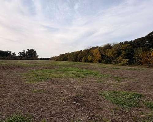 Campo 41hac Agricola Rueda Santa FE