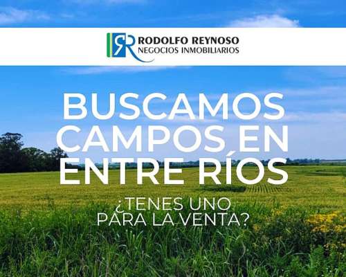 Buscamos Campos en Entre Ríos