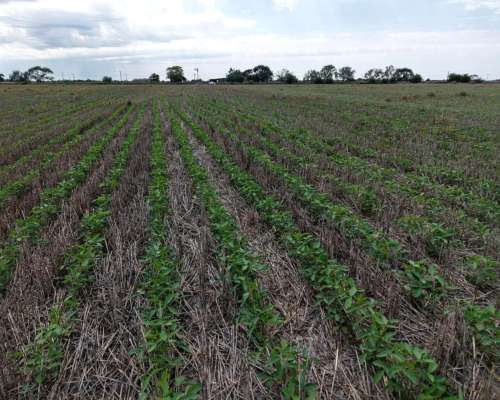 49 Ha Agrícolas en Esperanza. Suelo Clase 1/2.