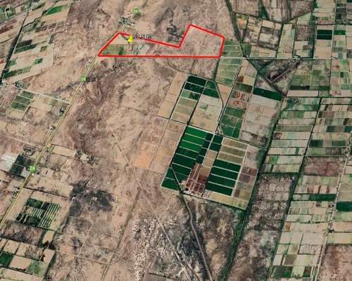 Finca en Venta 57 Hectáreas - Rpn° 24- la Pega Mendoza