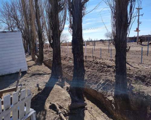 Finca de 140 Has Excelente Calidad de Tierra Cochagual Sjuan