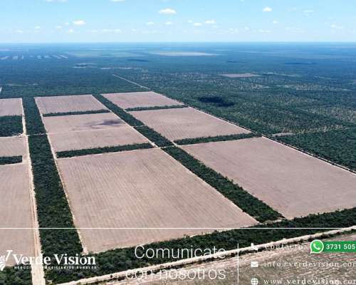 901 Has en Venta - Pcia del Chaco, Depto. Guemes