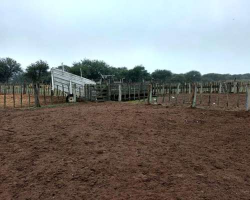 10000 Has Ganaderas en Union Prov. de San Luis