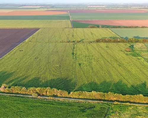 Córdoba Toledo 40 Has Agrícolas Excelentes