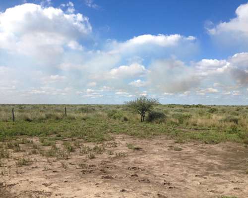 Oportunidad Dos Fracciones de Campo en Sgo. del Estero