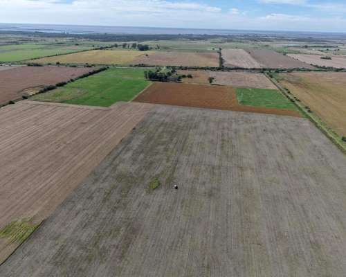 60 Has. Agricolas. Depto San Jeronimo (santa FE)