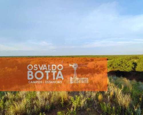 Campo en Venta 1250has Telen, la Pampa