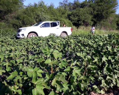 1200 Has. con Riego al SUR de Santiago.