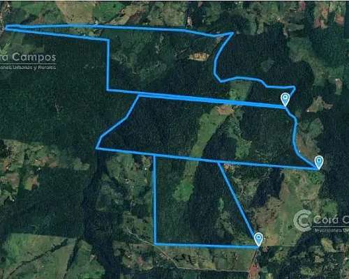 Se Vende Campo 740 Ha Ganadero-forestal en San Vicente, Misi