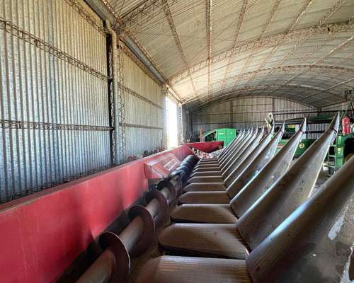 Maicero Mainero Mod 2000 de 13 S a 52. año 2005.