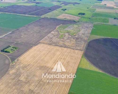 100 Has Agrícolas en Mechongué, Gral. Alvarado