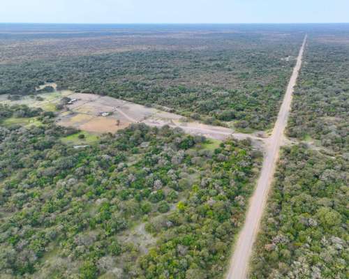 Pcia. de Corrientes - Curuzu Cuatia 14884 Has