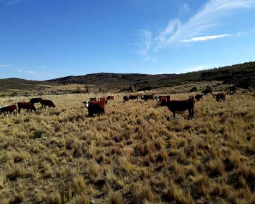 Vendo Campo Urgente muy Lindo