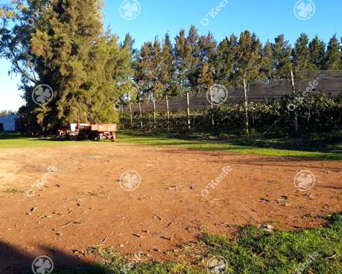 Chacra en Venta de 32 Has en San Pedro. Producción de Kiwi.