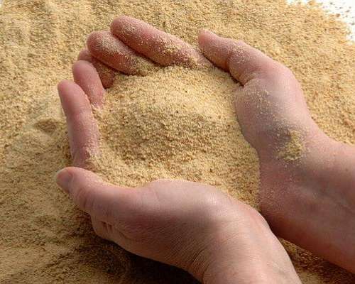 Soybeans Meals for Both Humans AND Animals Consumption
